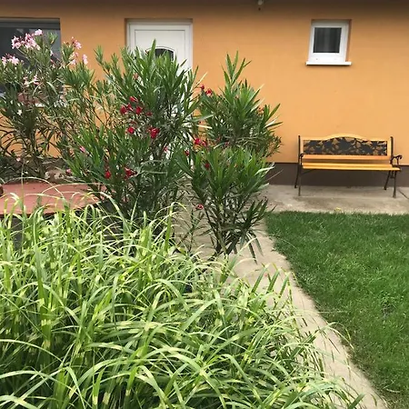 Dalia Apartment