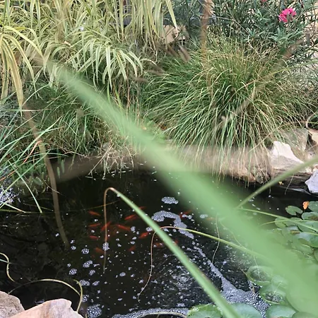 Dalia Lejlighed Gyömrő