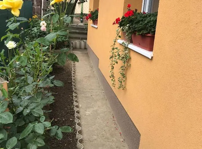 Dália *
