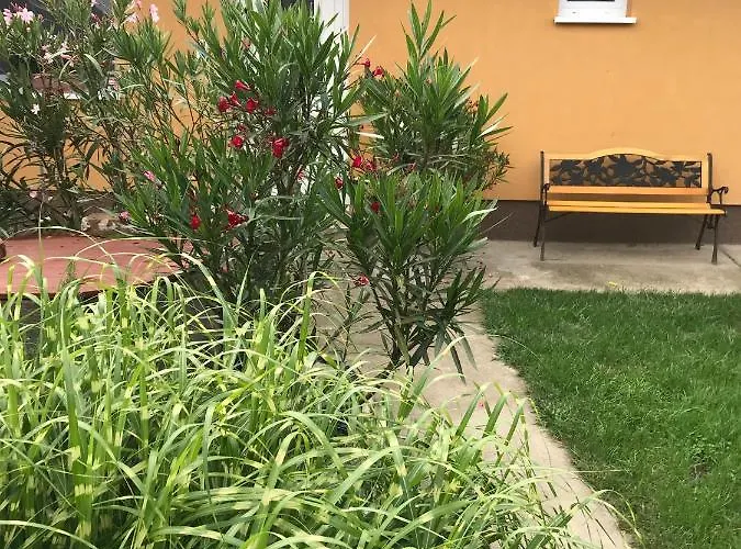 Dalia Апартаменты